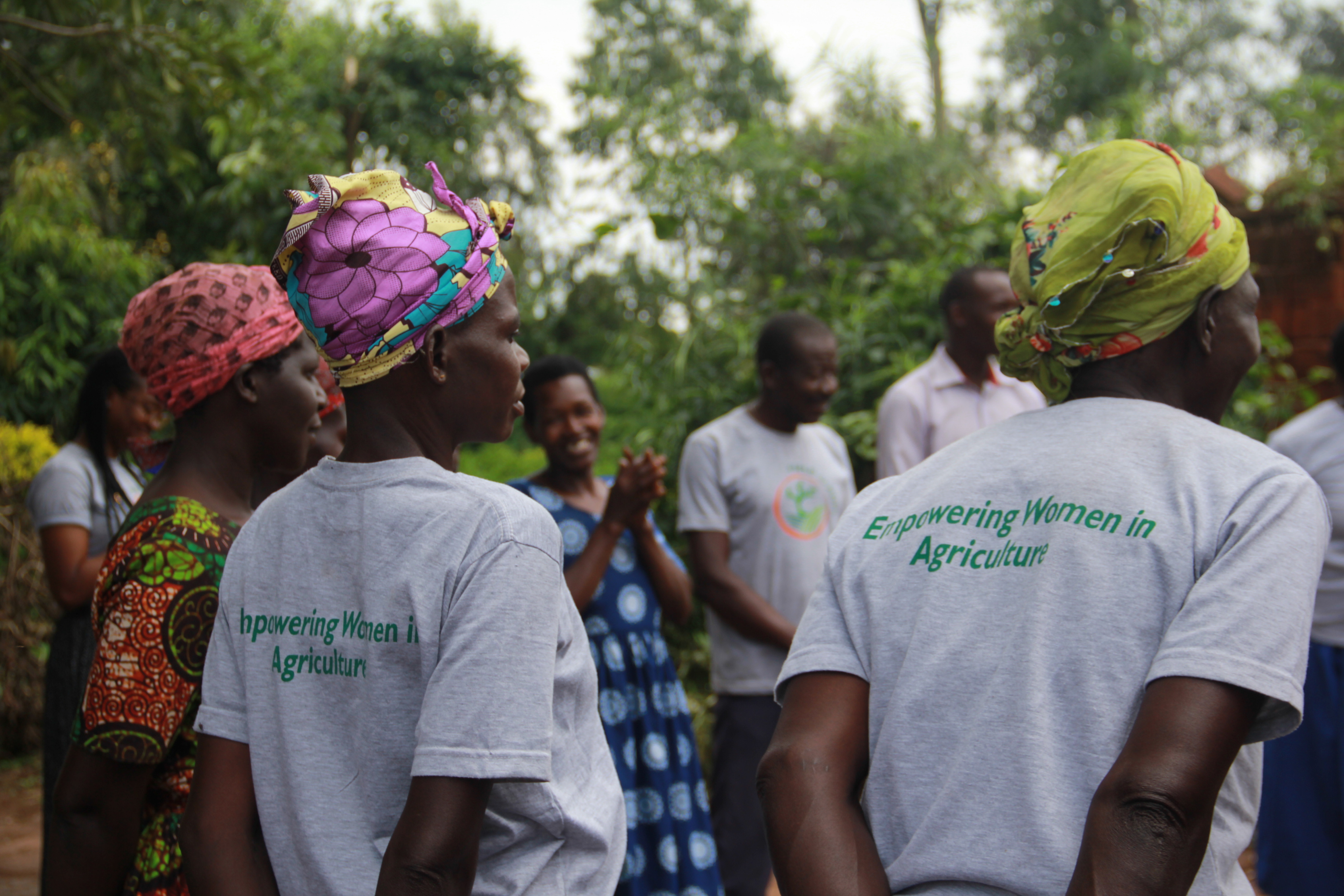 Project Two cover image