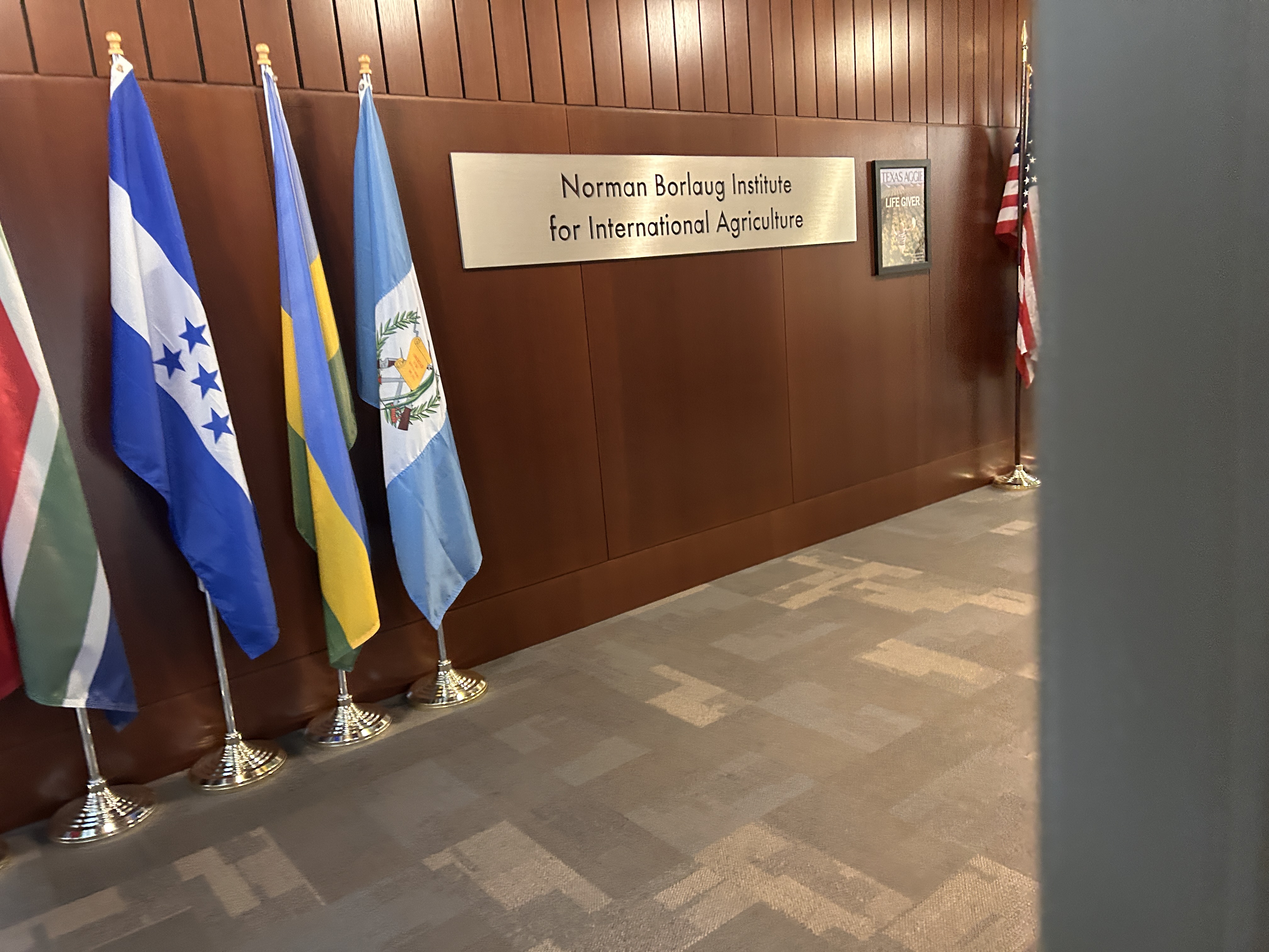 Project Three cover image